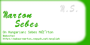 marton sebes business card